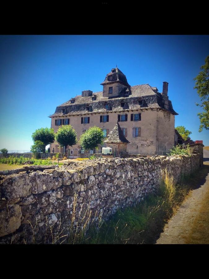 Chateau De Cours Sénezergues Eksteriør billede